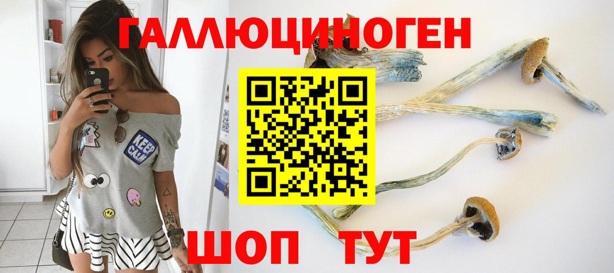 Галлюциногенные грибы Psilocybe  Вход с VPN  Галлюциногенные грибы ЛСД  Новороссийск 